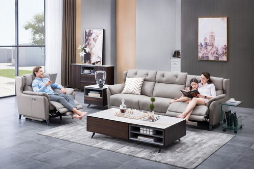 芝华仕 头等舱荣膺中国500最具价值品牌